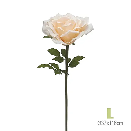 images/uploads/23991/thumb_23832-30-2 L.webp